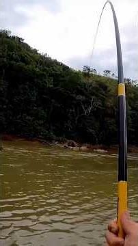 SEE HOW STRONG THIS FISH IS - OLD-SCHOOL TELESCOPIC POLE FISHING