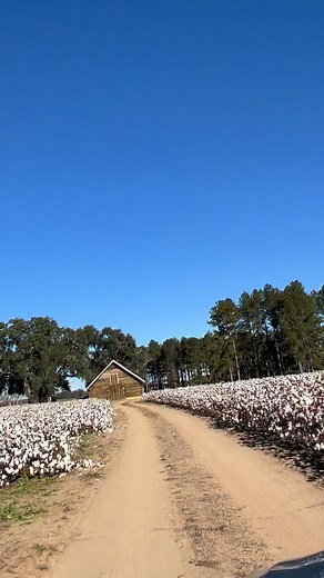 62K views · 1.8K reactions | Jenkins County, GA | The Barn Hunter | Facebook