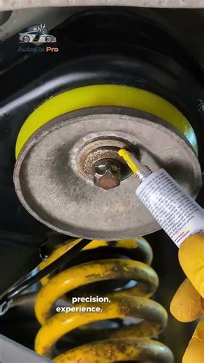 The EXPENSIVE Mechanic #autofixpro #tools #carrepair #warkshop #mechanic