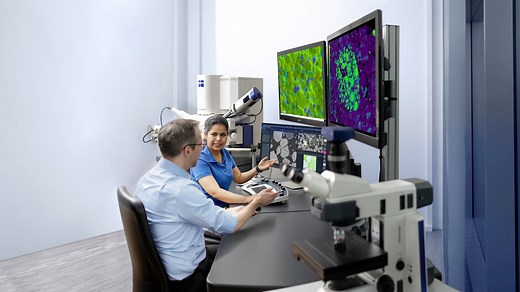 ZEISS ZEN core Microscopy Software