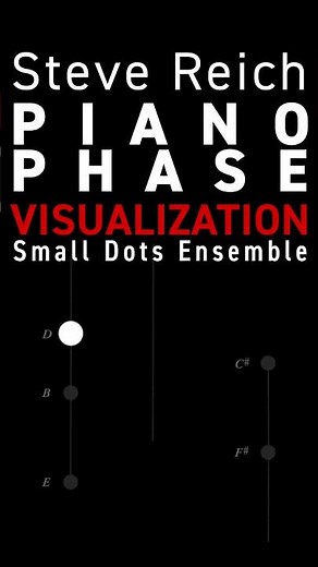 Steve Reich "Piano Phase" Visualization #shorts