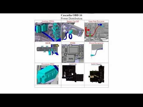 Freightliner Connector/Terminal Information