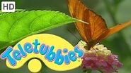 Teletubbies Butterfly - HD Video