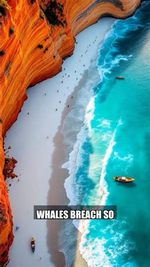 Brazil's Secret Whale Beach Nobody Knows About #brasil #travel #adventure #brazil #traveling