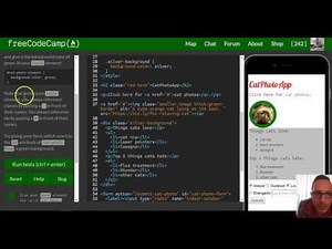 Use an ID Attribute to Style an Element , freeCodeCamp review html & css, lesson 38
