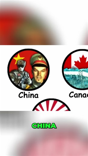 China's Fate Before the Great War in 2066
