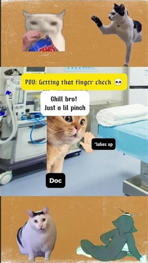 POV Getting that finger check 💀 #memecat #catmemes
