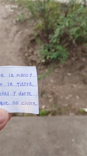 8.4K views · 640 reactions | Seeeee 來來殺殺 | Fernando Alvarez | Facebook