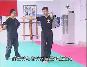 魏峰JKD教学 - 拳法Ⅰ