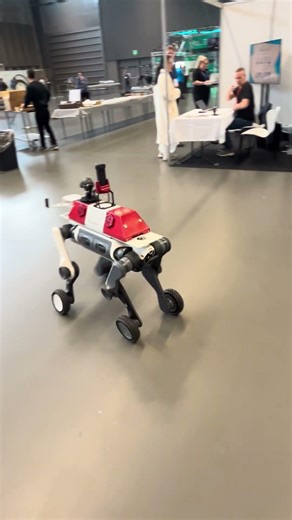 Cute developer girl controlling her Deep Robotics M20 #quadruple (iF design award) #robot #erf2026