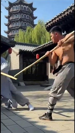 SHOALIN MONKS Vs MMA FIGHTER #kungfu #mma #wushufight #monk #karate #shoalin #shorts #china