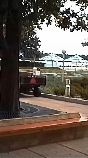 Contemporary Resort at Walt Disney World 1992