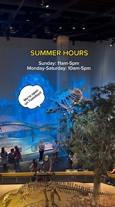 If you’re seeing this, it’s time to plan your visit. We’re starting our summer hours a little sooner this year. 😎 Tuesday openings are back! | Perot Museum
