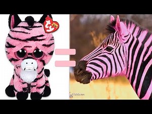 BEANIE BOOS IN REAL LIFE!