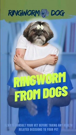 You May get Ringworm Skin infection from Your Dog | The Dr Vet #dogs #ringworm #pet