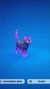 How To COMPLETE ALL FRACTAL CAT SIDEKICK REWARDS QUESTS CHALLENGES in Fortnite! (Earn Points Guide)