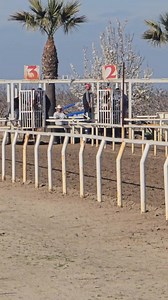 8.4K views · 140 reactions | INDIA VS DORMIDO C. SAN MARTIN VS C. PILLO #seguidores | Ricardo Ramirez | Facebook