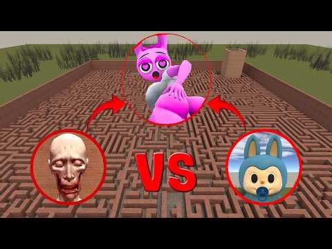 MISS PINKI SPRUNKI vs SCP-096 vs BABY LABUBU | Garry’s Mod Epic Battle