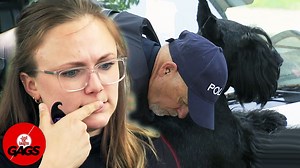 Someone give this dog a treat! | Just For Laughs Gags