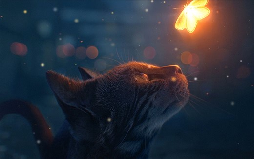 Sg (Adobe Substance 3D Stager)快速上手指南