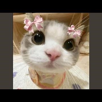 new soul (slowed + reverb)