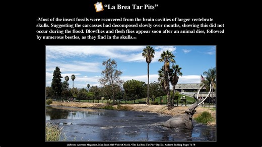 The La Brea Tar Pits