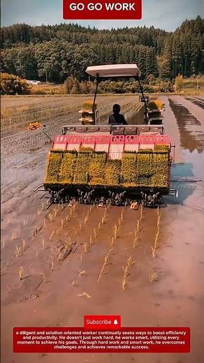 Automatic Rice Transplanter Working in Flooded Field #farming