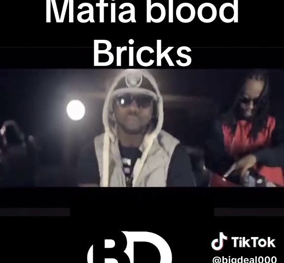 Mafia Blood Bricks: Exploring Unique Building Blocks