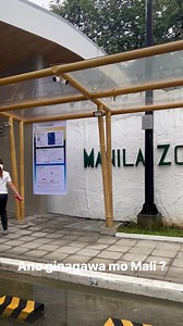 Manila Zoo Opening #elephant #manilazoo #Manila | CineMotion Digital Films Philippines