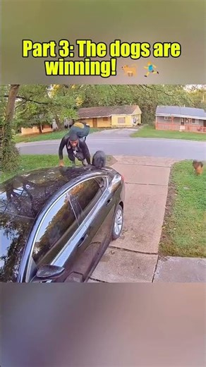 Top Delivery Fails! (Part 3) 😭🚐🐕 #shorts #dogs #pets