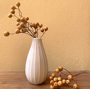 Berries, Seeds of Elaeagnus Angustifolia or Tree of Paradise. - Etsy UK