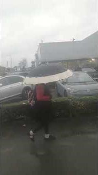 Live highlight - South Asian Car Obsession