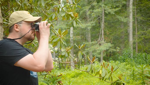 Can This Gadget Really Turn Your Old Film Camera Digital?