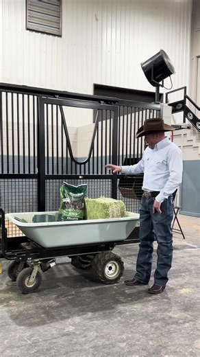 Optimizing Your Horse Feeding Program for Success