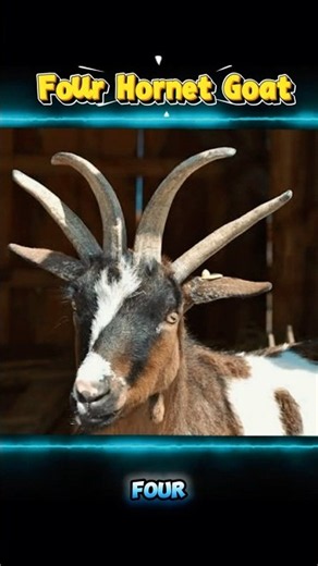 Animals With Incredible Genetic Mutations #shorts