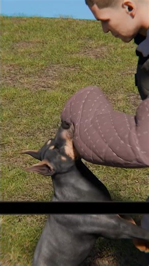 Military Dog Gets a Titanium Tooth | Amazing Military K9 Dental Surgery