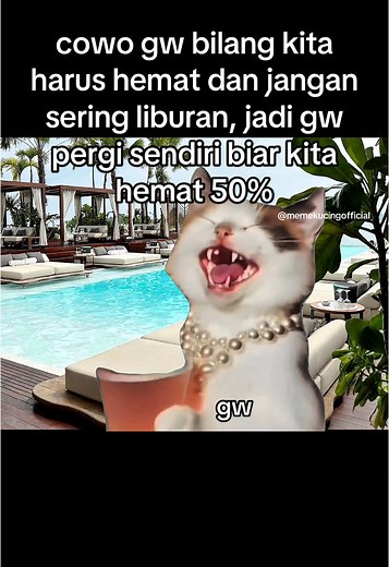 Funny Cat Memes Collection for Laughs