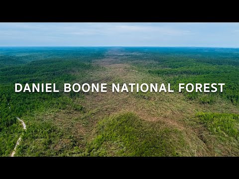 Daniel Boone National Forest Tornado Damage Drone Video