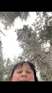 1.6K views · 66 reactions | Split a bunch of firewood to start the day. Then I decided to do my regular 5km loop. However this time I started on Ross road went down Foxfire to Mason, over to Chicken Scratch and back to Ross! It was a bigger workout with all the fresh snow! Must Keep Moving! #TakeAStep #weightlossjourney #healthjourney #weightloss # #weightlossmotivation | Shannon Macfarlane | Facebook