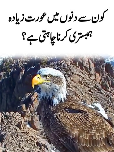 Dark Knowledge (@dark.knowledge46)’s videos with original sound - Dark Knowledge