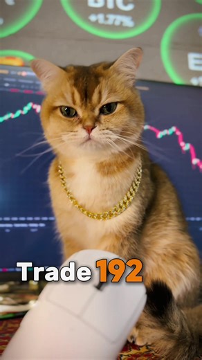 trade day 192 🐾 #DeFi🐈 #tradingcat #defi #cryptocat #cat