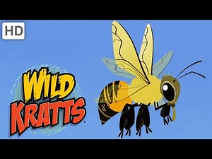 Buzz Pollination | Bumblebee Facts | Wild Kratts
