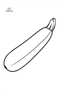 Zucchini coloring page ♥ Online and Printable for Free!
