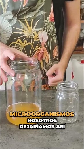 How to make homemade white wine vinegar with kombucha. Easy recipe