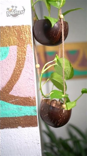 Natchu's 3-Tier Coconut Shell Outdoor Planter | Eco-Friendly Vertical Garden Idea