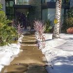 Photos of our Snow Parties in Los Angeles, Southern California and more.