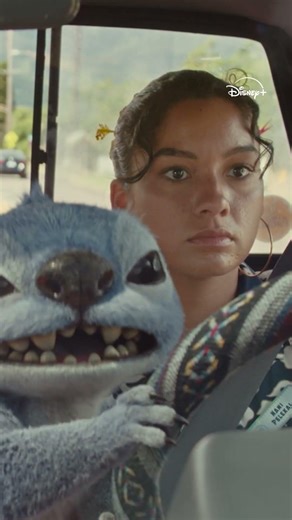 Stitch: 1 - The Highway Code: 0