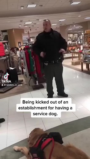 Throwback. Access issue at the mall #servicedog | service dogs