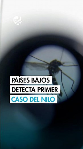 Netherlands records first West Nile virus infection case in 6 years