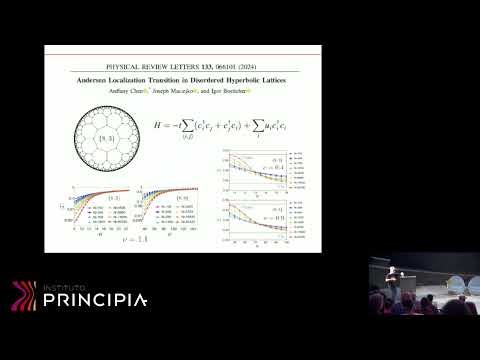 Tobias Micklitz: Anderson Localization in Negatively Curved Space